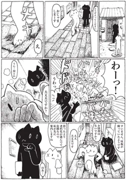 画像 / Picture