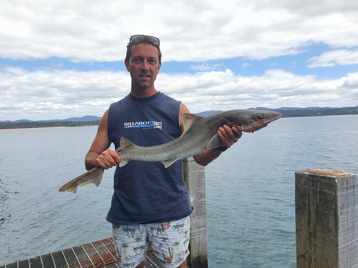 Michael Snow tweet media