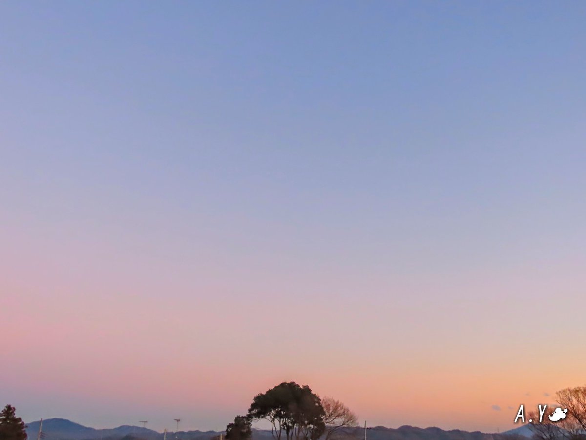 yumeasutw's tweet photo. 夕焼け空と仲良しカラスさん🐦🐦

お疲れ様です🏁
寒そうな雪雲が棚引く #夕暮れ 🌆
日が暮れるのを惜しむように、二羽の #カラス が #電線 に並んで #夕焼け 空を眺めていました🐦🐦

#Crow
#野鳥
#夕空 #鉄塔 #電柱
#空の名前
#雲の教室
#マジックアワー
#ビーナスベルト
#a2021 #a0108 #a202101 https://t.co/Q35muWpbTf
