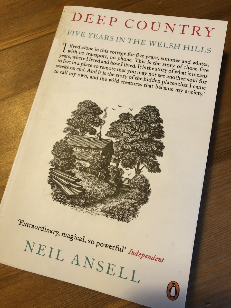 Rebecca Coles tweet media