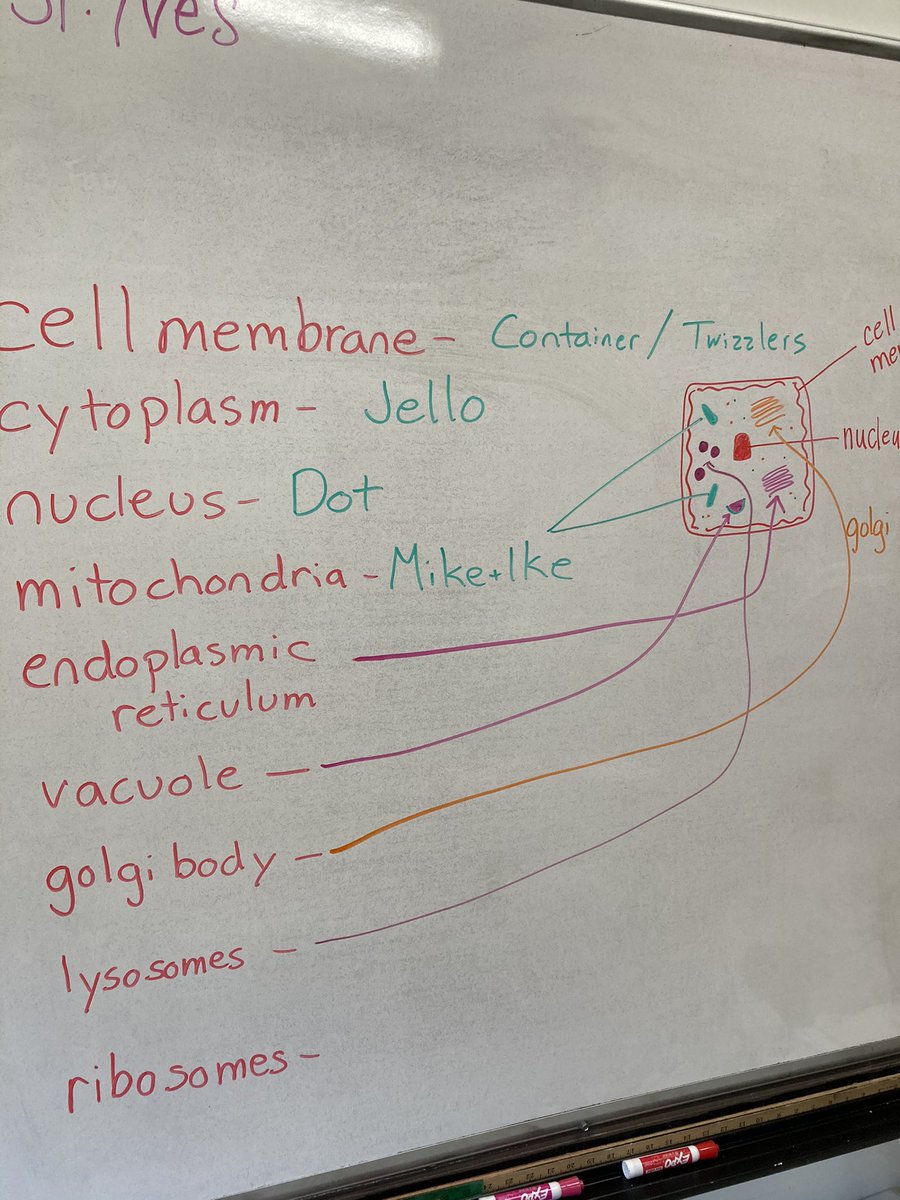 Kelly Raleigh tweet media