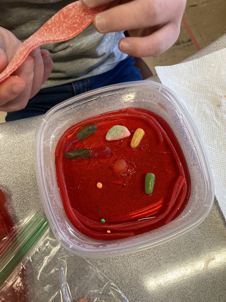 Kelly Raleigh tweet media