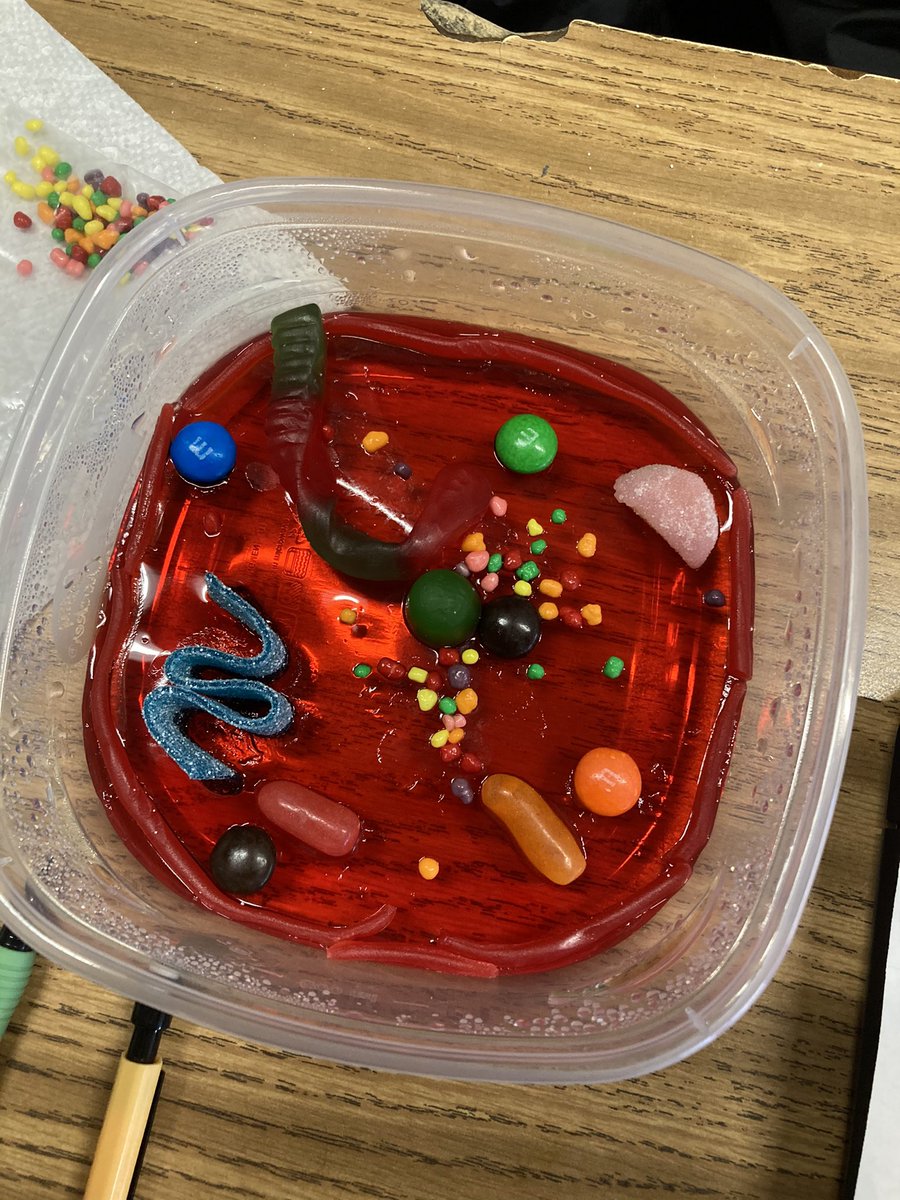 Kelly Raleigh tweet media