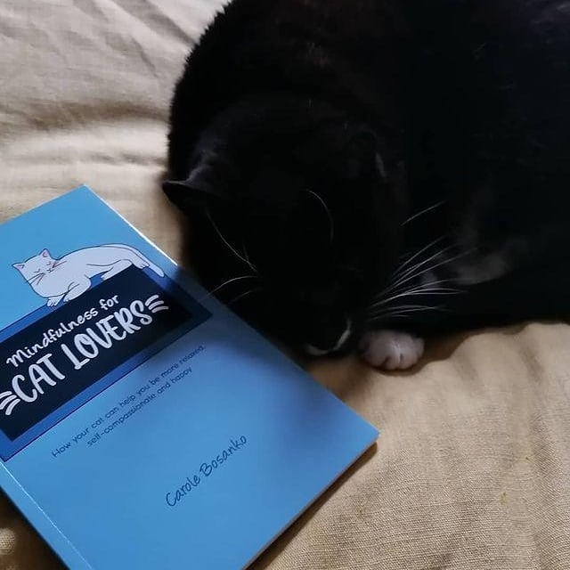 'Mindfulness for Cat Lovers' out today getting paws up from a few fans ! #CatsOfTwitter #cats @Vets4PetsGroup <a href="/PetsUnlimited7/">Pets Unlimited</a> #fridaymorning #FridayThoughts #AMAuthors @simplybooksNo1 <a href="/catsnkittys/">Cats and Kittens</a> <a href="/AustinMacauley/">Austin Macauley</a> #CatsOnTwitter