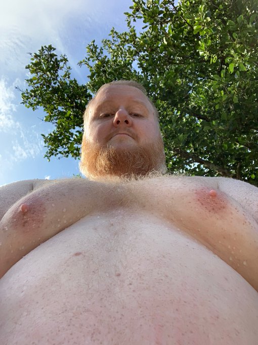 Your view when you suck my cock 💦👅  #GayBear #GayBears #BearGay #HairyBear #ChubbyDaddy #DaddyBear #GayChubby<a href="/tag/gaybear"class="tags">#GayBear</a><a href="/tag/gaybears"class="tags">#GayBears</a><a href="/tag/bears"class="tags"><span>#bears</span></a><a href="/tag/gaydaddy"class="tags"><span>#gaydaddy</span></a><a href="/tag/daddybear"class="tags"><span>#daddybear</span></a><a href="/tag/hairybear"class="tags"><span>#hairybear</span></a><a href="/tag/gaychub"class="tags"><span>#gaychub</span></a>