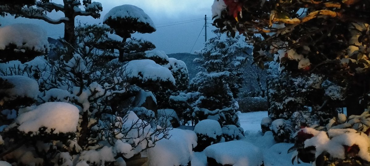 yabattfit1962's tweet photo. 我が家の庭の積雪…💦
美祢市のアメダス測定地点での積雪量は20cm。
久しぶりの積雪量.☃︎.'.°☽
気温も低く、5年振りの真冬日‼️
午後6時のアメダス測定地点で…(╯•﹏•╰)
ぶち低い⤵️
#YAMAGUCHI
#MINE
#OFUKU
#山口県
#美祢市
#於福
#長州 https://t.co/LMQP6T1xqg