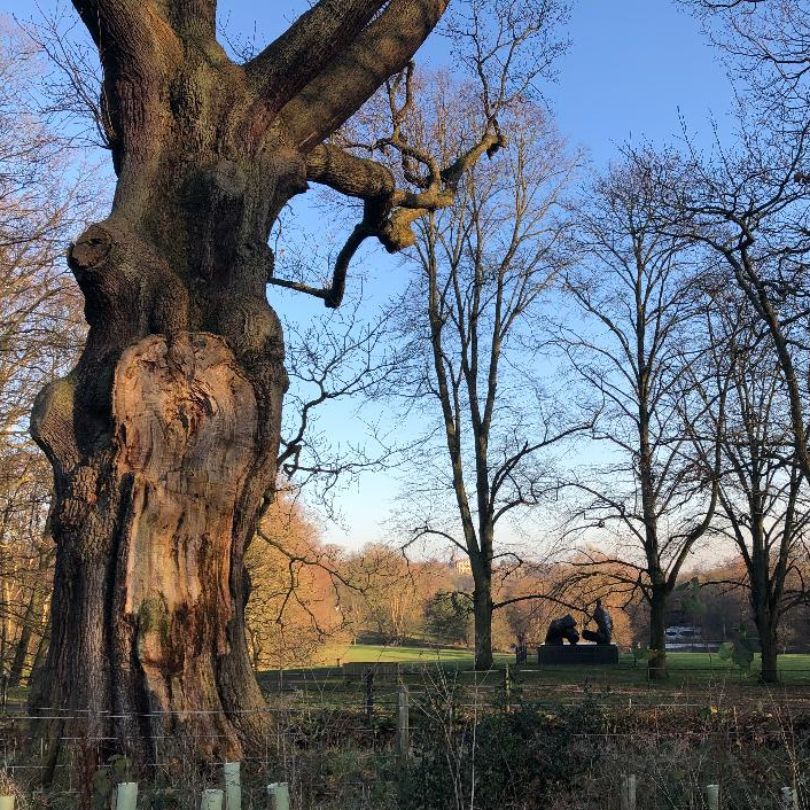 FriendsKenwood's tweet photo. Lockdown 3 | Kenwood takeaway café open | Our Online Talks - https://t.co/6caSgvMuJe Remember: stay local, follow govt guidance, connect with @FriendsKenwood via our online talks. #19thcenturyfrenchart #18thcenturyart #17thcenturyart #16thcenturyart @EHKenwood @CityCorpHeath https://t.co/hWpE1WigOf