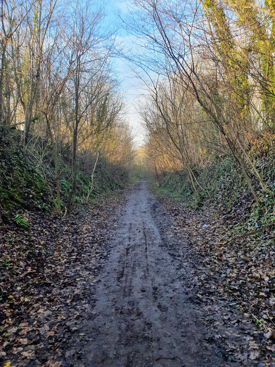 fatladruns's tweet photo. Nice and fresh day for a gentle jaunt to get back into it
#fatladruns #runwithrusty #trailrunning #running #landscape #destress #1000milesthisyear #newbalance #getfit https://t.co/3gSDwNWJqV
