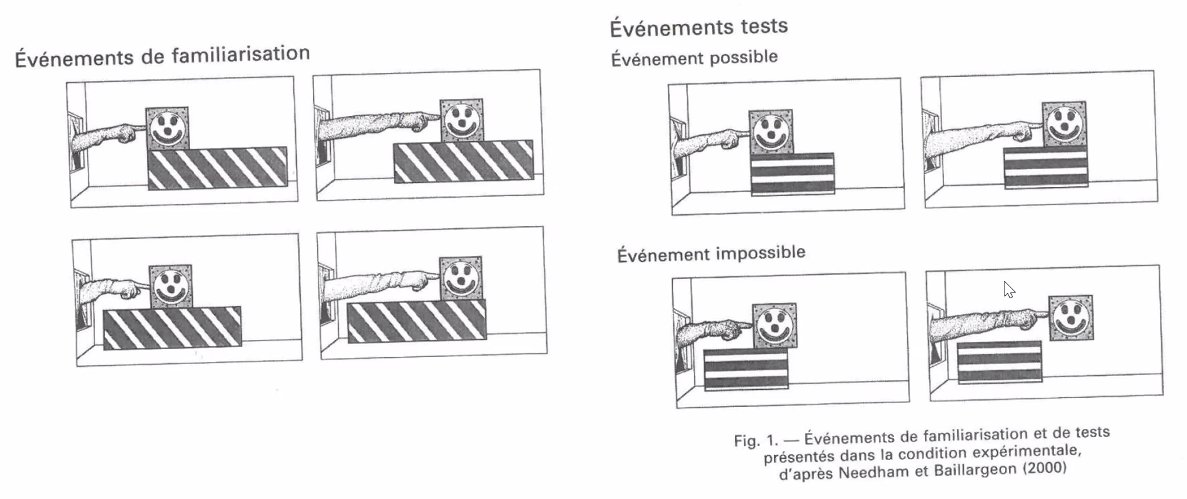 Les bébés ont des principes de base innés qui guident l'acquisition de leurs connaissances, qu'on peut appeler "intuition". Ici, l'attente des bébés est de voir la boîte tomber lorsqu'elle est poussée à l'extérieur du support. Temps de fixation + grand sur 1 situation inattendue.