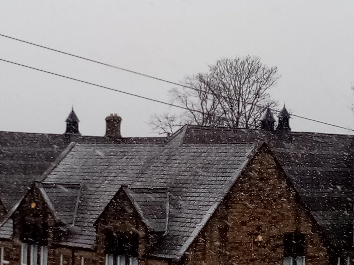 Mohamed Saloo tweet media