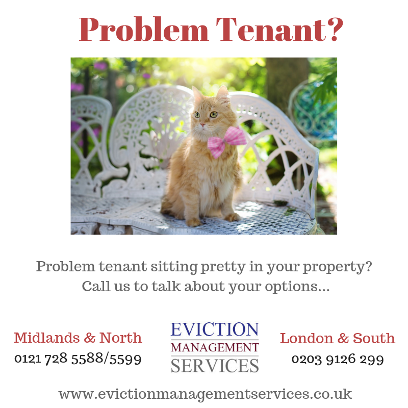 EvictionHelper's tweet image. #problemtenant #tenanteviction #evictatenant #evictionservice