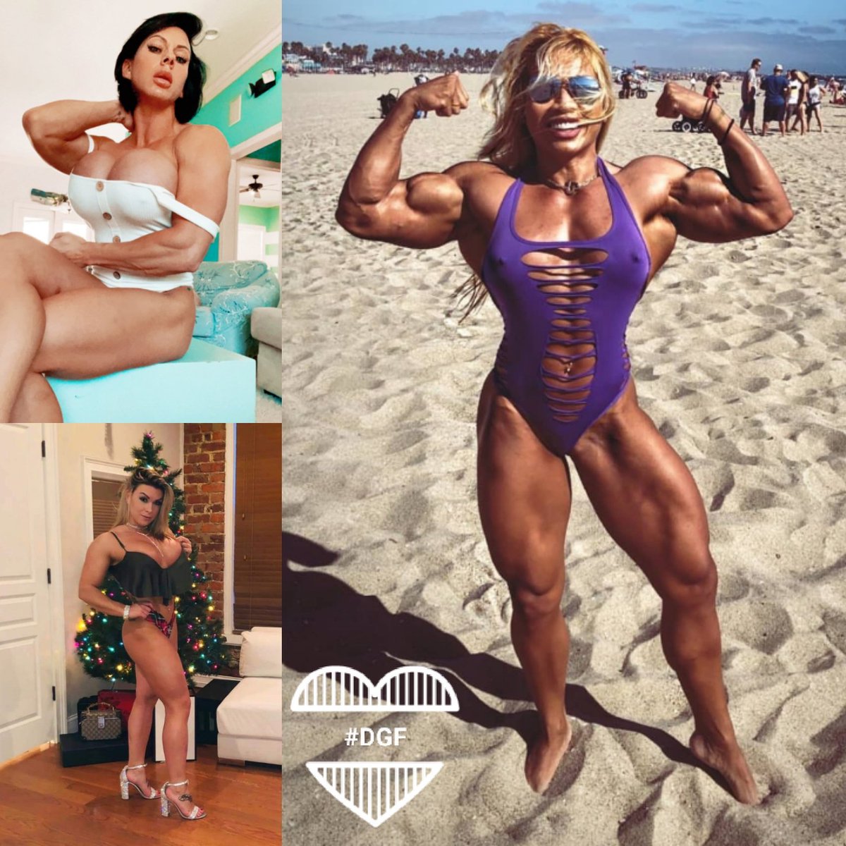 white2k5's tweet photo. My #DreamGirlFriday are the hot & sexy @HungrySerra @stackedandrack1 & Jessie Rae π₯πͺπ»β€β₯οΈππππππ
#DGF
#SerraSatelle
#CyndiSpell
#JessieRae https://t.co/xq8Dq1CVh2