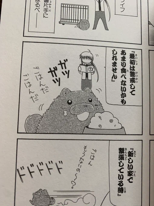 このご飯というかカリカリの描き方が昔からめっちゃすき 