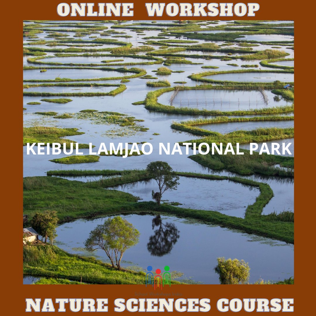 IndiaWorkshops's tweet photo. NATURE SCIENCES COURSE:

This course aims to create awareness among the students about the world's only floating national park - the Keibul Lamjao National Park in Manipur and its importance.
#schoolworkshopsindia #ib #ibdp #IGCSE #onlineworkshop #onlinecourse ##learningisfun✏📝 https://t.co/fRIvp9PkVv