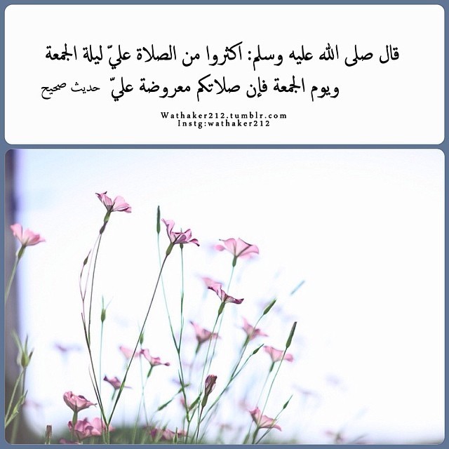 ddoollyy50's tweet photo. اللهم صل وسلم على نبينا محمد وعلى آله وصحبه وسلم اجميعا https://t.co/N3cvsgdbEz