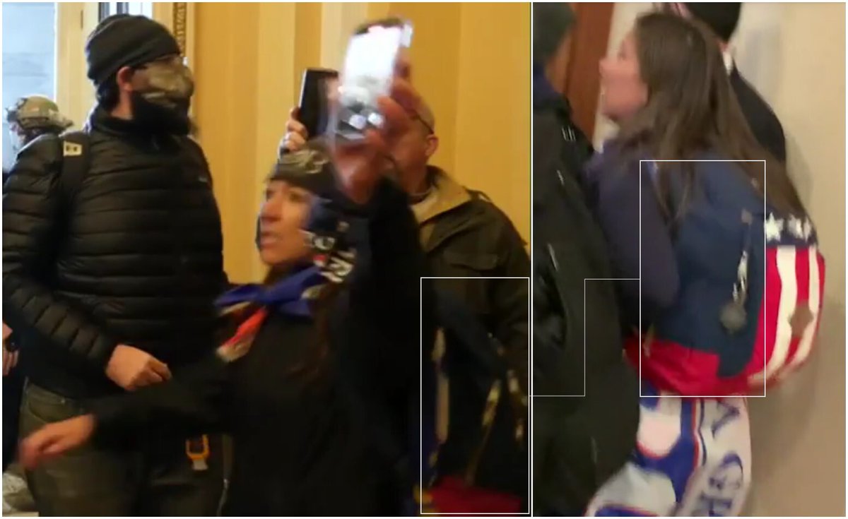 Babbitt attended the Stop the Steal rally and heard President Trump speak. Afterwards, she joined thousands of people in marching to the Capitol, which she eventually entered.Open source footage captured some of her movements inside the building prior to the shooting.