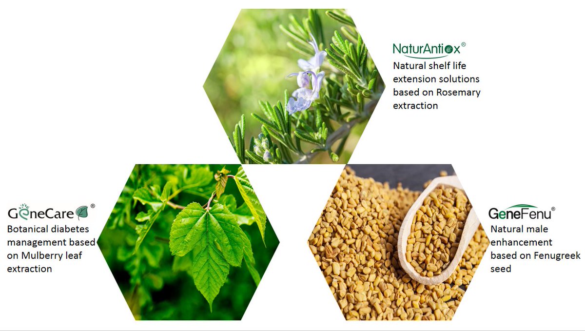 GenehamCo's tweet image. Geneham main items:
1. Green &amp;amp; safe antioxidants which naturally protect food against oxidation and extend the shelf Life
2. A series of healthy blood glucose supporting products
3. A series of Male performance enhancing and supporting products
4. A series of animal feed additive