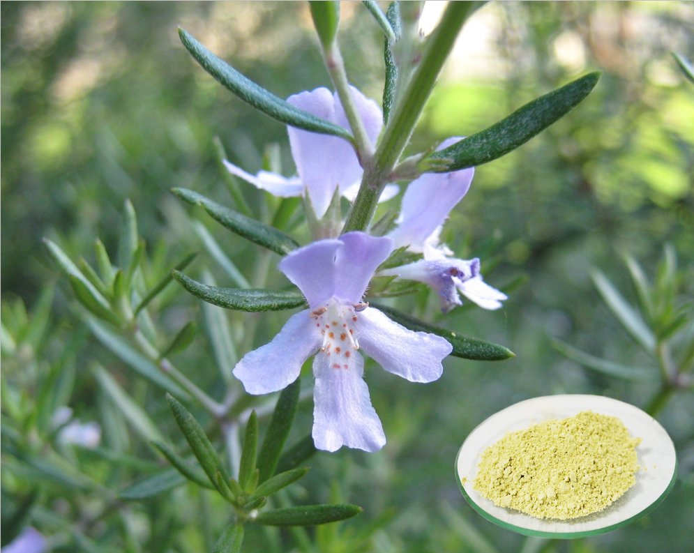 GenehamCo's tweet image. Geneham main items:
1. Green &amp;amp; safe antioxidants which naturally protect food against oxidation and extend the shelf Life
2. A series of healthy blood glucose supporting products
3. A series of Male performance enhancing and supporting products
4. A series of animal feed additive