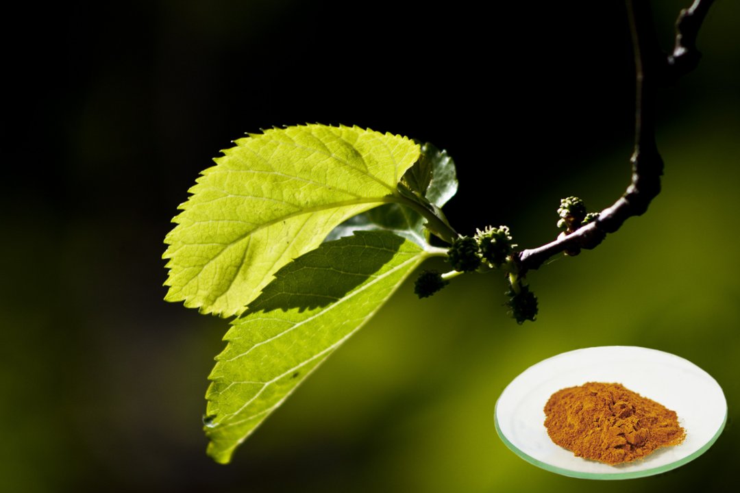 GenehamCo's tweet image. Geneham main items:
1. Green &amp;amp; safe antioxidants which naturally protect food against oxidation and extend the shelf Life
2. A series of healthy blood glucose supporting products
3. A series of Male performance enhancing and supporting products
4. A series of animal feed additive