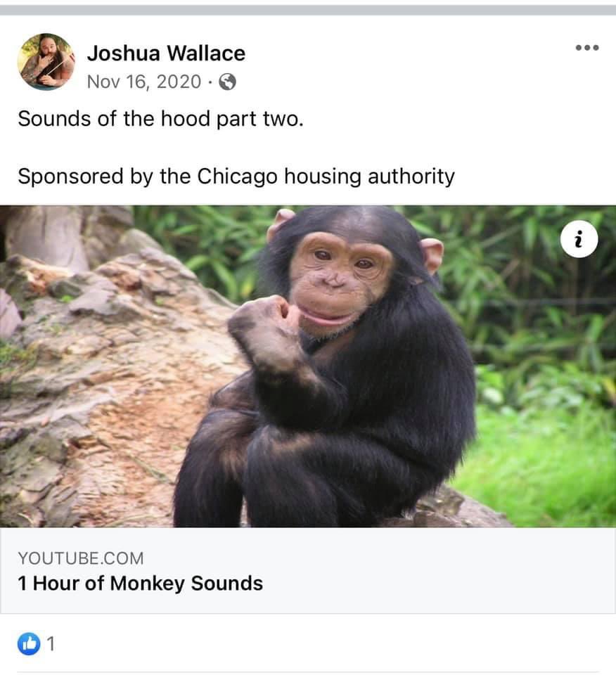 BehaviorExposed's tweet photo. Joshua Wallace thinks he's racially superior. Interesting. #WhiteSupremacy #Whites https://t.co/BLn0rjMFN4
