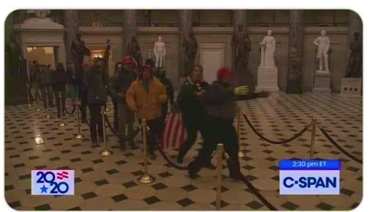 Pauld1027's tweet image. Explain this to me please, someone?  they literally break into the Capital, but... wait for it... Stay in the ropes?  How damn stupid are these “Trump” supports?
