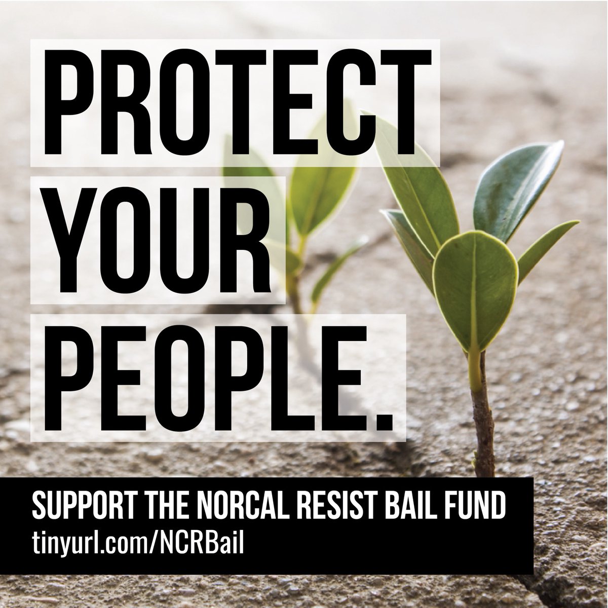 AntifaSac_'s tweet photo. With the numerous arrests in the past few months here in Sacramento, supporting our local bail fund is more important than ever! Please donate if you can! Solidarity with @NorResist ! #StrongerTogether #Solidarity https://t.co/PrYuiL9lW1