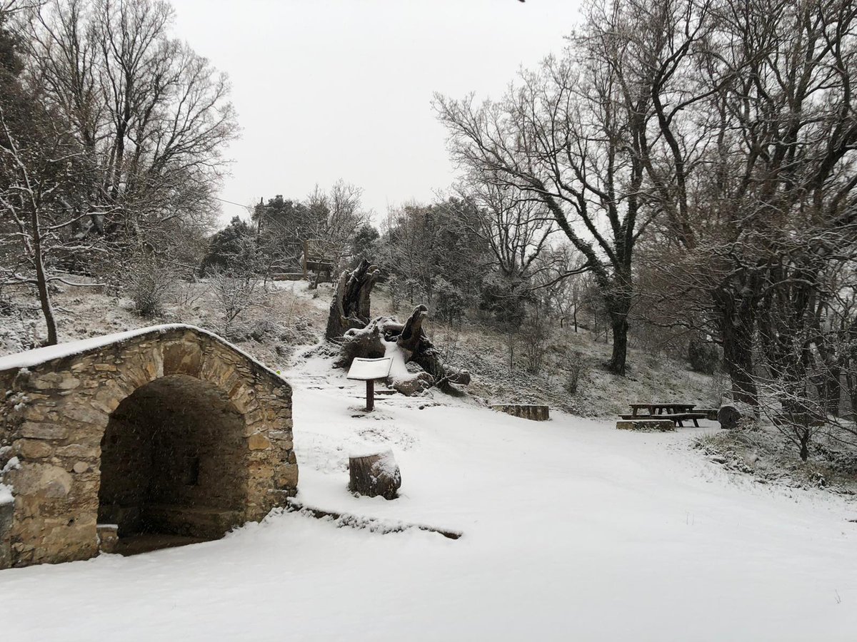 AjBenassal's tweet photo. L’arribada de la neu ❄️ ens deixa imatges tan boniques com aquestes 😍
#benassal #fontensegures #altmaestrat #turismerural #turismenatural #patrimoni #interior #igercs #natura #neu #winter #invierno #nieve #hivern https://t.co/8tZIvwdm0S