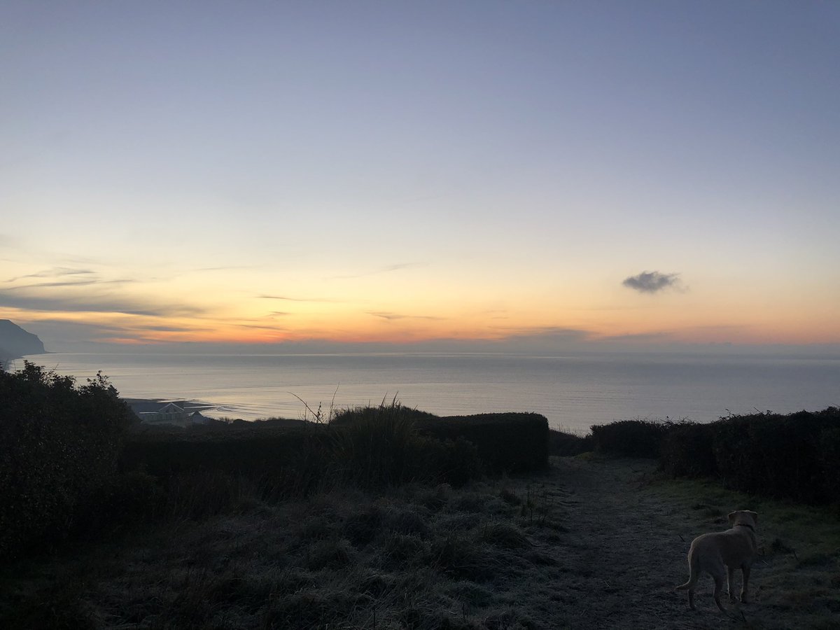 HelenWilmshurst's tweet photo. @Dawn_French Another small lab ❄️ sunrise https://t.co/PVXpotJ9uC