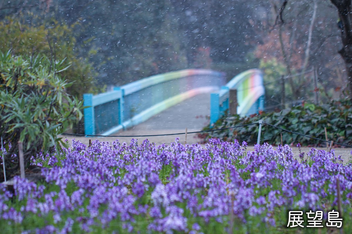 長居植物園 植物園では現在 フォトコンテストを開催中 ということで 職員が スポット賞 の対象場所 展望島 小池付近 ユーカリ林 ツツジ山 の4か所を撮影してみました 撮り方は自由です 皆さまの投稿 お待ちしております フォト