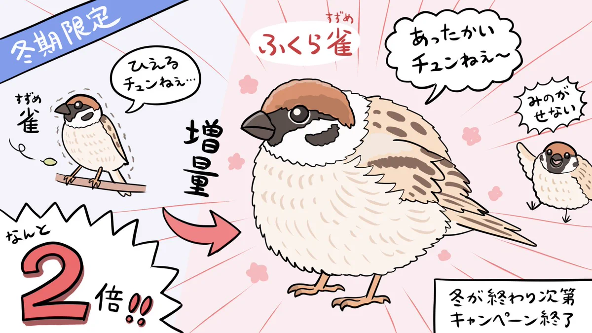 この時期にしか見られない？冬季限定の増量した「ふくら雀」www