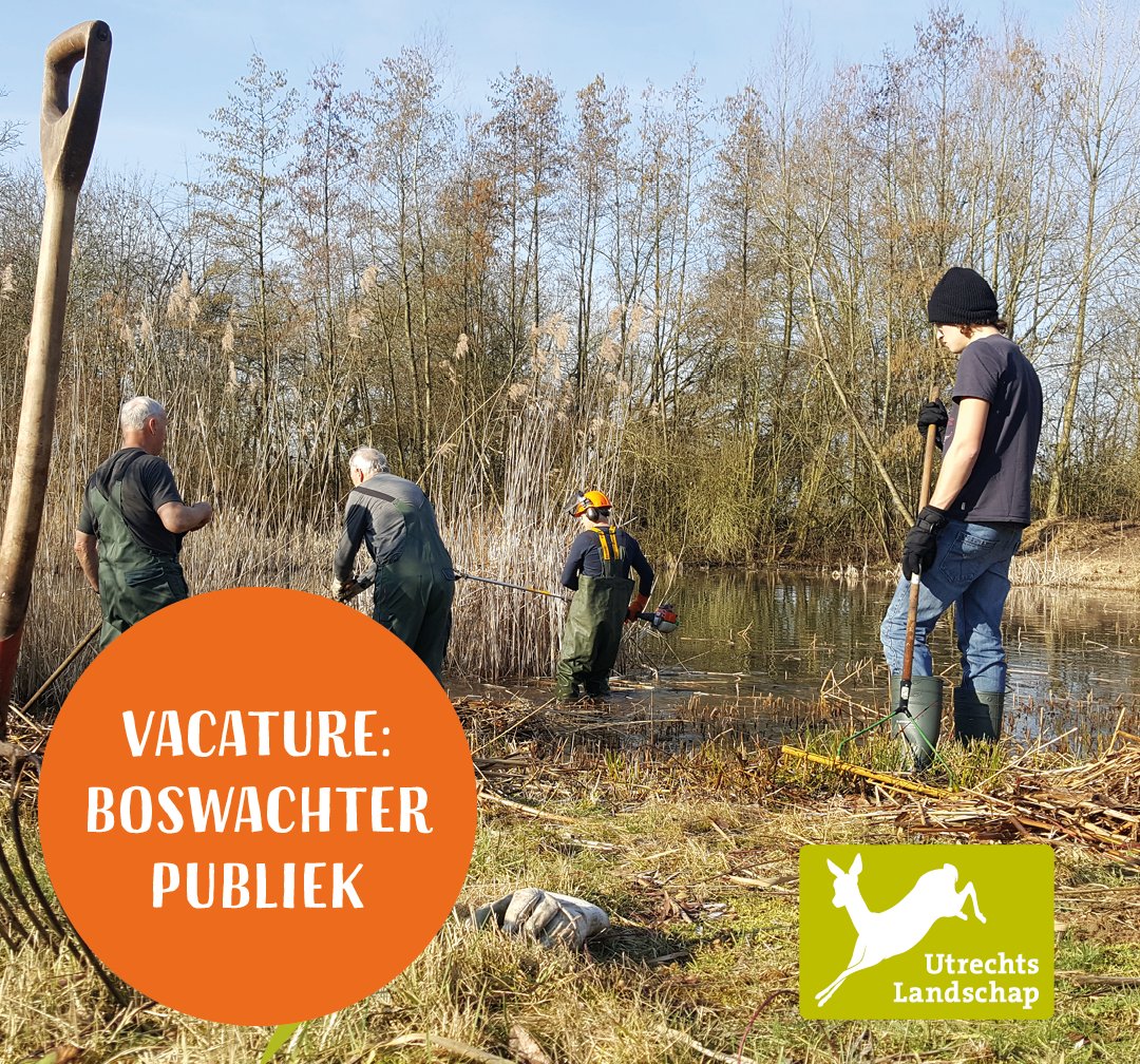 #vacature @UtrLandschap: Boswachter Publiek regio Zuid bij Utrechts Landschap in Amerongen #bosbeheer #natuurbeheer #communicatie. Zie groeneruimte.nl/vacaturebank/v…