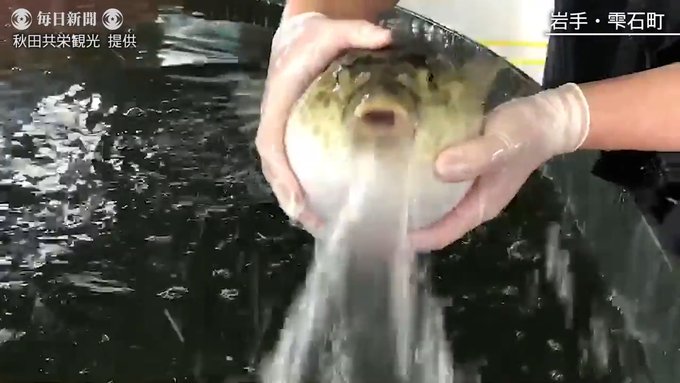 Fkgwfkgwさんのイラストまとめ 3ページ目