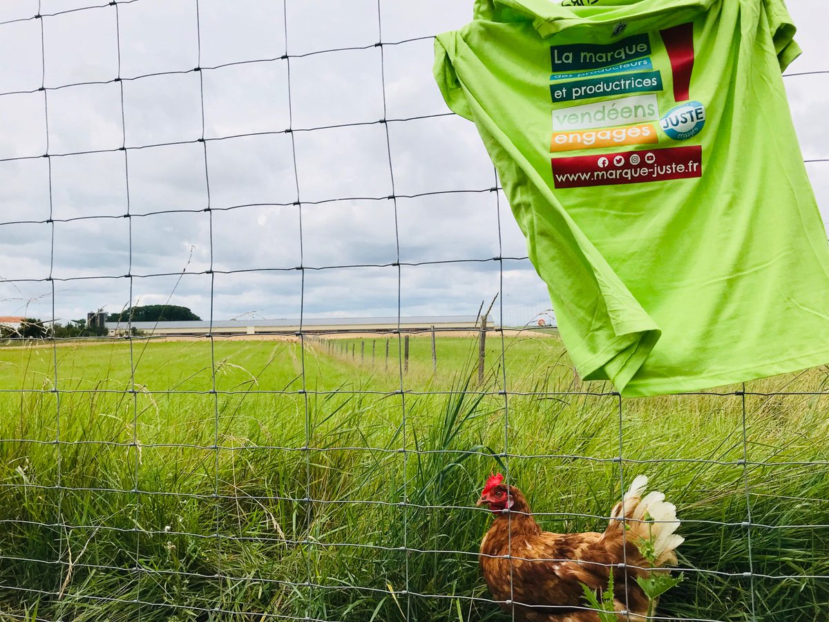 On vous annonçait avant les fêtes de fin d'année l'arrivée d'un nouveau produit #JusteEtVendéen 🤗🤗 

A quelques jours de l'arrivée de ce nouveau produit dans les rayons des magasins de Vendée, nous vous donnons un indice... 🧐

Alors, d'après vous quel est ce futur produit ? 😀