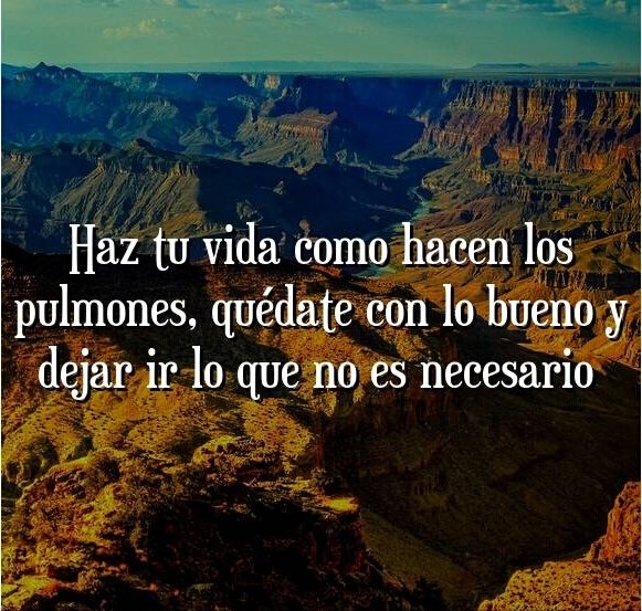 FelipeLoSeMa's tweet photo. Porque el tiempo pasa muy rápido para no disfrutarlo. Aveces en la vida hay que usar las matemáticas, aprender a seguir sumando o multiplicando con lo bueno y restar u olvidar a lo malo. A disfrutar siempre 💪💪💪#disfrutalavida #atopee #Motivacion #sefeliz #BuenosDiasATodos https://t.co/hT60Gn3fgX