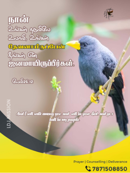 ldjmission's tweet photo. #today #bibleverses #promiseword
Apostolic Paul k.santhanaraj
Contact number : 787150885 https://t.co/TY2NittF9W