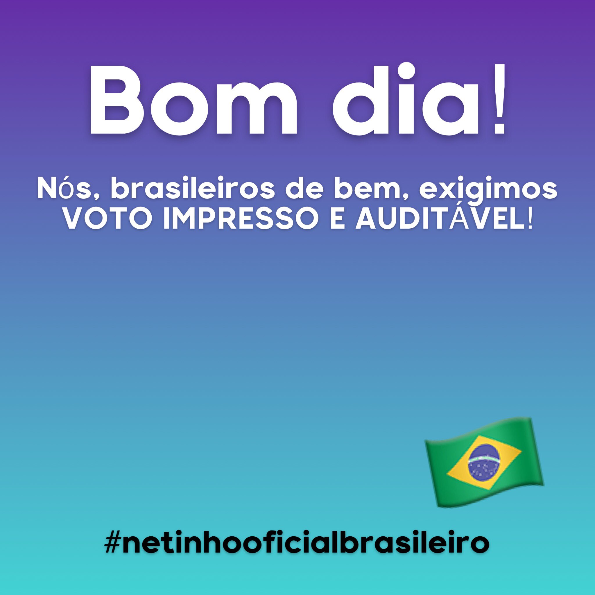 NETINHO OFICIAL BRASILEIRO on Twitter: 