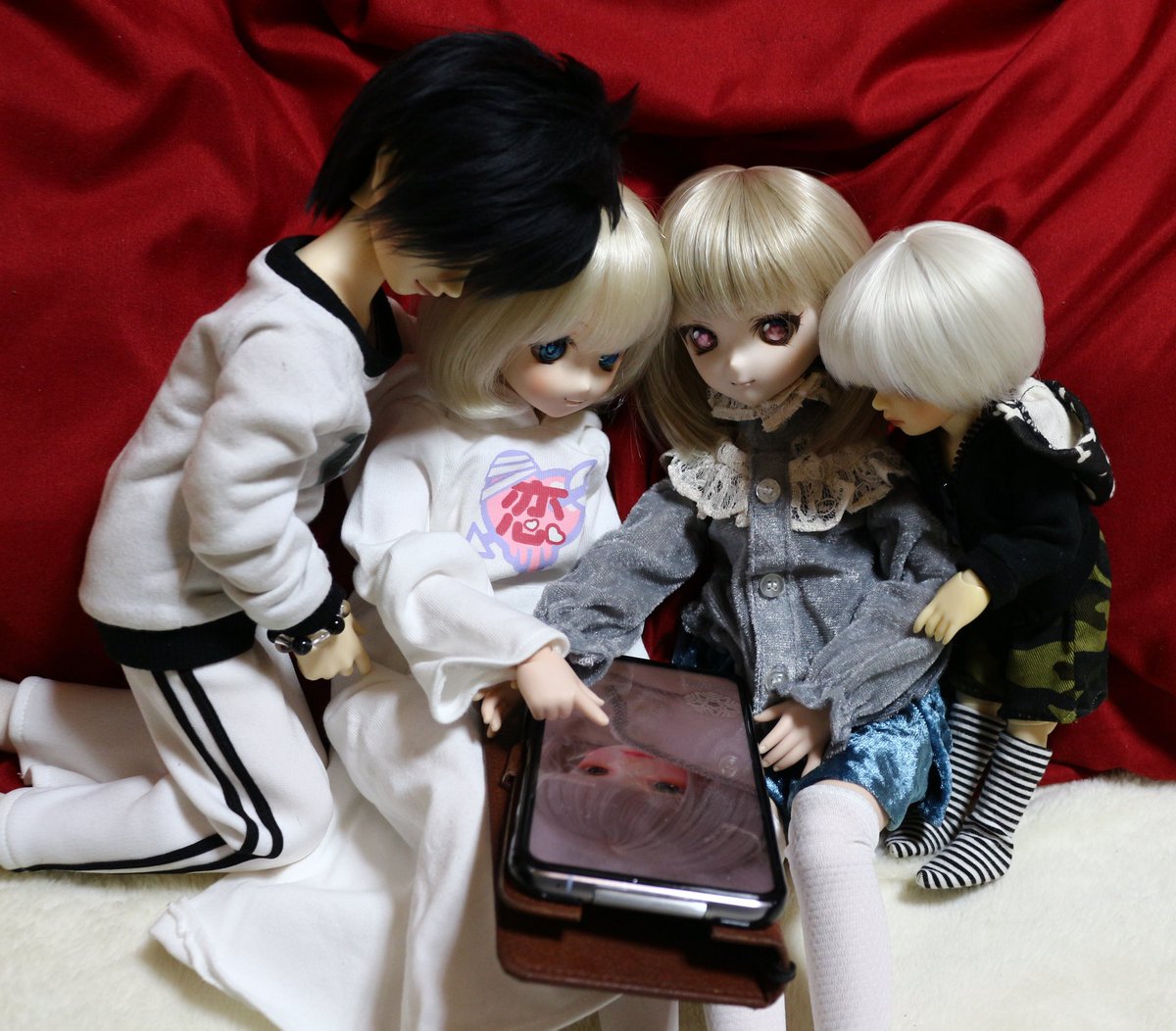 myufake's tweet photo. カ「この子が今度家に来るらしいじゃない！」　
プ「どの子？」

わら‥
わらわら‥

みんな興味津々ですw
#うちのこかわいい https://t.co/0Uc8Nei2L7