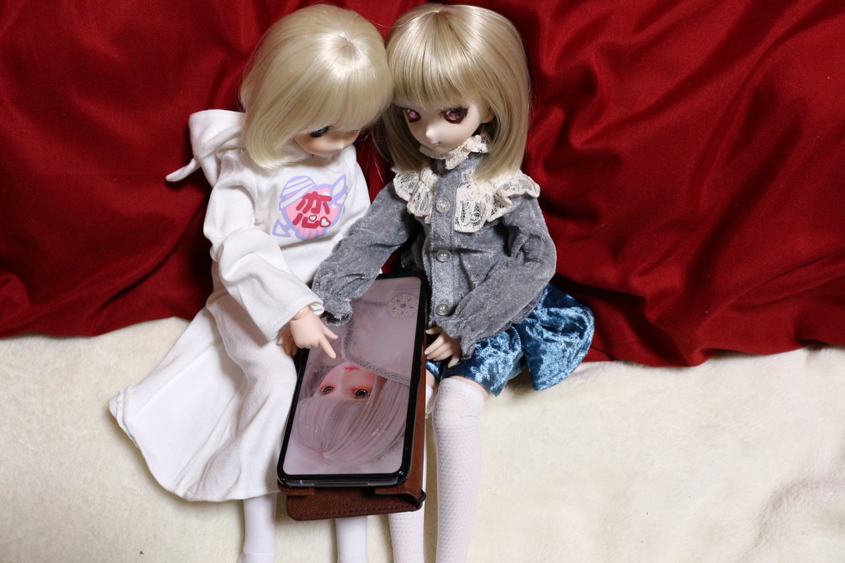 myufake's tweet photo. カ「この子が今度家に来るらしいじゃない！」　
プ「どの子？」

わら‥
わらわら‥

みんな興味津々ですw
#うちのこかわいい https://t.co/0Uc8Nei2L7
