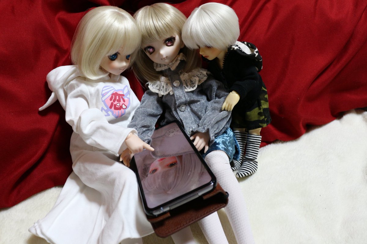 myufake's tweet photo. カ「この子が今度家に来るらしいじゃない！」　
プ「どの子？」

わら‥
わらわら‥

みんな興味津々ですw
#うちのこかわいい https://t.co/0Uc8Nei2L7