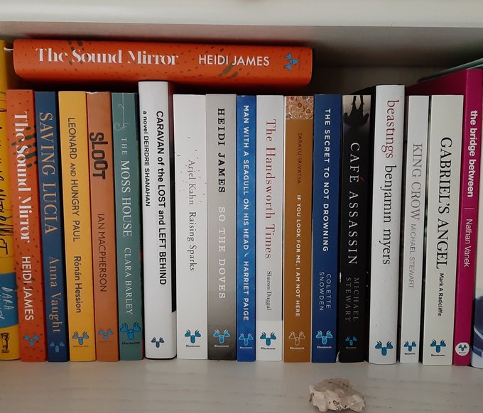 Greetings Bibliophiles.

Hate to ask but we really do need your help.

If you can buy some of our books direct:

bluemoosebooks.com

And RT, that would be grand too.

Cheers, Kevin.