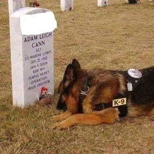 BookRotarian's tweet photo. So sad 😢😭 https://t.co/DpBTApSkmk