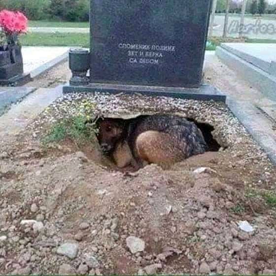 BookRotarian's tweet photo. So sad 😢😭 https://t.co/DpBTApSkmk