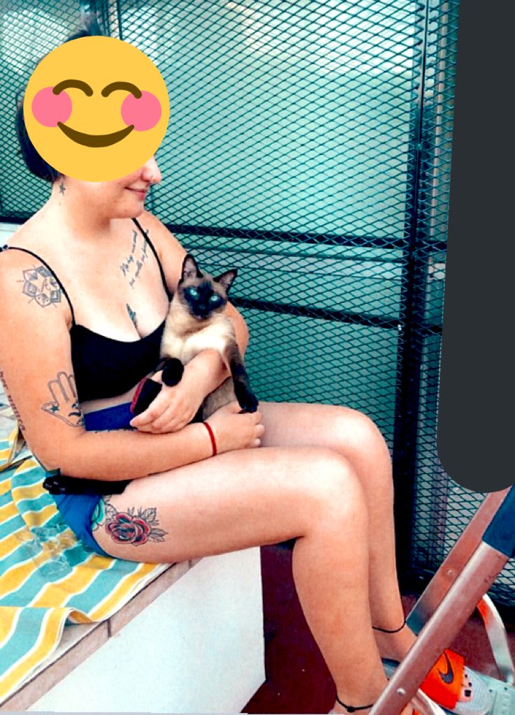 Medicenvikinga's tweet photo. Les presento a #catito jaja https://t.co/FQ8TwBmqUE