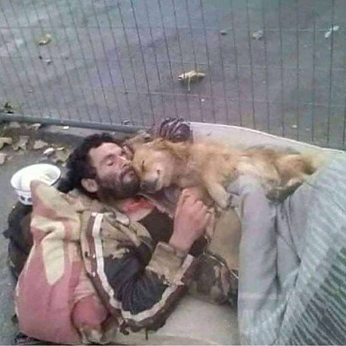 BookRotarian's tweet photo. I really feel like crying 😭 https://t.co/HEr8dT6a9M