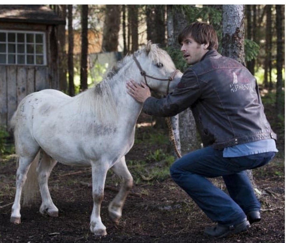 Johanna46401326's tweet photo. #TyFriday❤️❤️#Greetings💛💚
Looking forward to #HLS14??
Ty here with his favorite girl #Amy and horse #Sugarfoot
#letsShowLove ❤️
#courage💛
#faithoverfear 💜
#takecare 😷❤️ https://t.co/sRS8Da7dcs