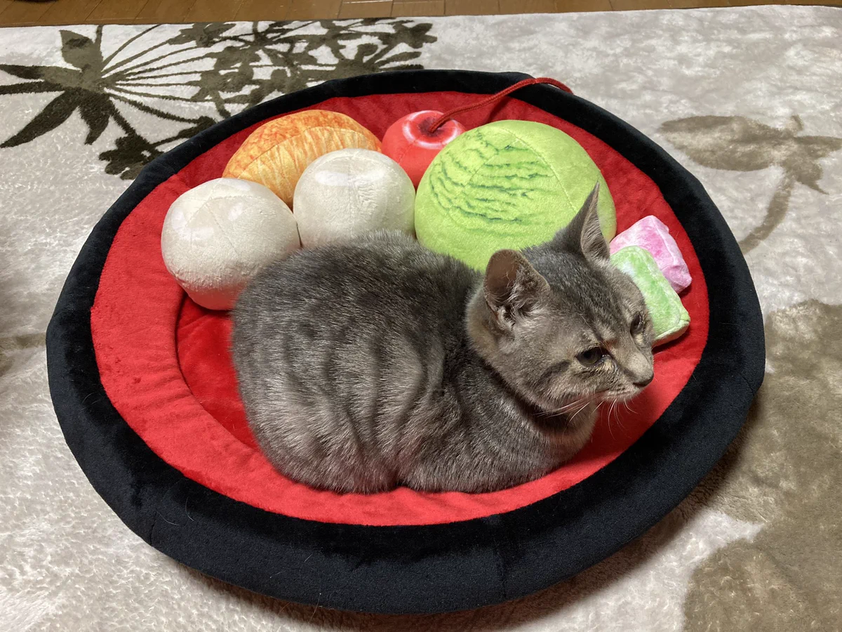 フェリシモのあんみつクッション・ベッドがリアル！くつろぐ猫が可愛すぎると話題に！！
