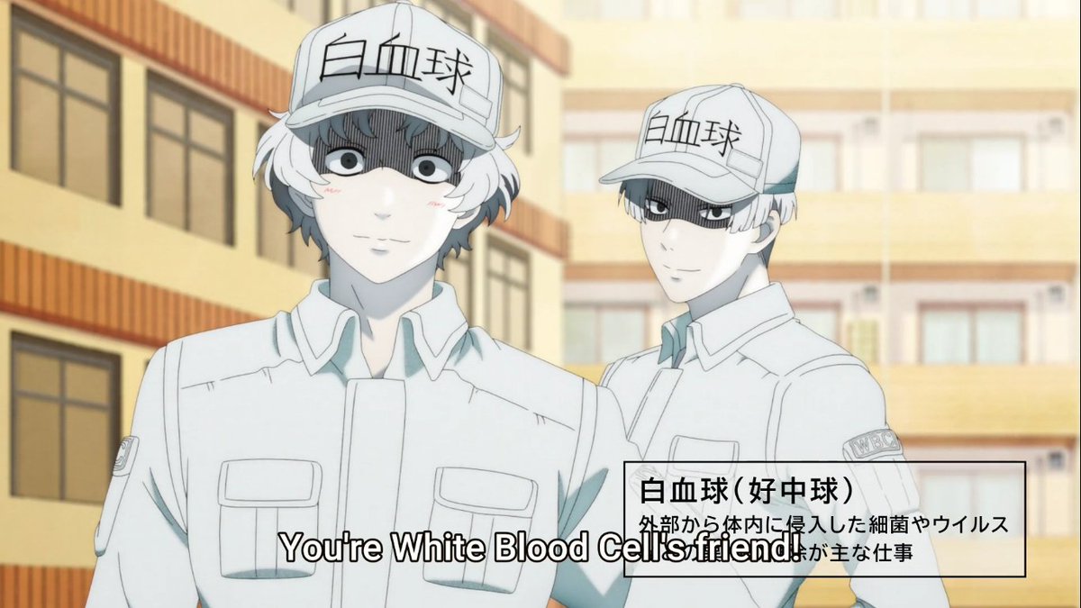 Kissmesenseiii's tweet photo. omg new white blood cells im screaming they are so freaking cute omfffff look at themmsjnvsjb #CellsAtWork #cellsatworkseason2 https://t.co/31wvvP9L34