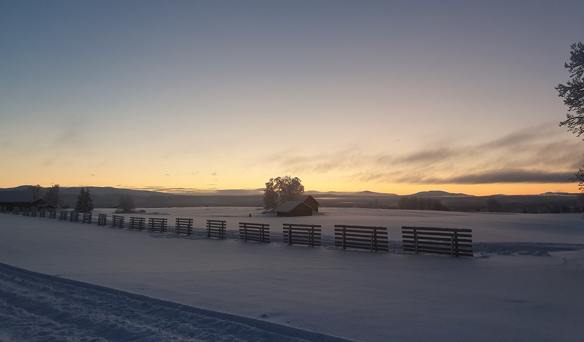 Genusfoljaren's tweet photo. #Midvinter
Tog en kort promenad i går eftermiddag, och det var ett så vackert ljus ute.
Vill bara dela den fina dagen med er. https://t.co/8hkUyW5lpV