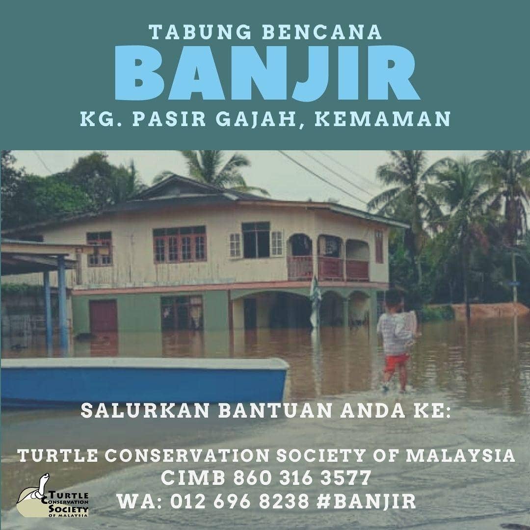 pelf81's tweet photo. @lauchaiming Please help us spread this donation drive around?

We launched this yesterday afternoon to help the ladies in the kampung, not knowing that in less than 12 hours, we'd become victims ourselves.

Thank you! https://t.co/Y4VT3XCIWB