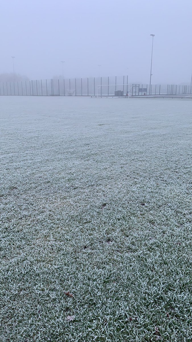 Dixie Groundstaff. tweet media